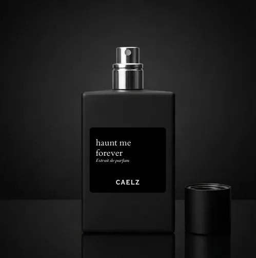 WhatsApp Image 2026-03-08 at 9.50.39 PM.webp